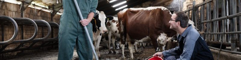 Kansen in mestverwaarding in nutriënten en centen