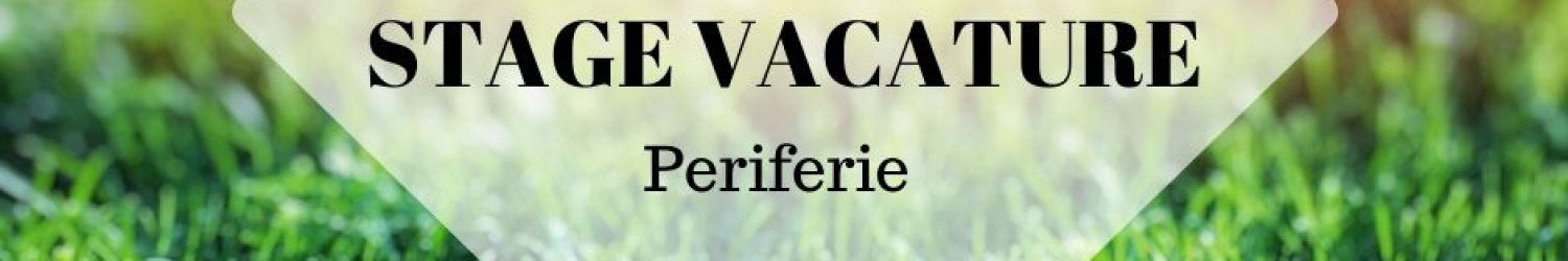 Kopie van Kopie van STAGE VACATURE Kopie van Kopie van STAGE VACATURE